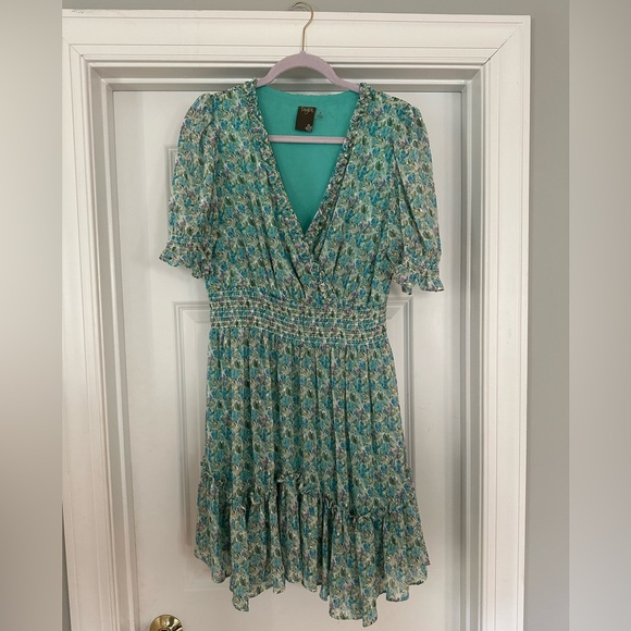 Taylor Short Sleeve V-Neck Ruffle Trim Floral Print Chiffon Fit and Flare Dress - Picture 4 of 4